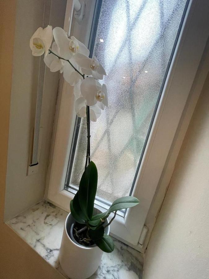 Happy House Lingotto Apartamento